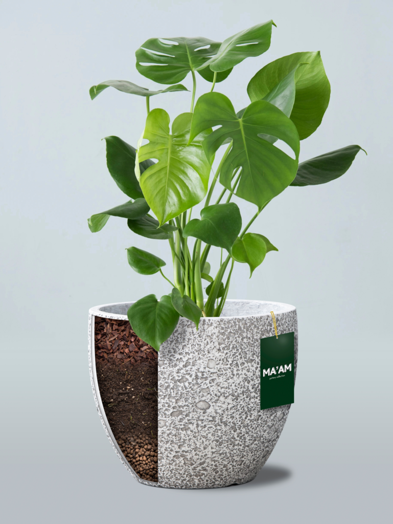 bloembakken plantenbak vullen hydrokorrels