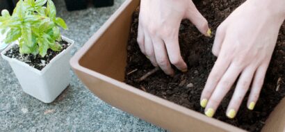 Hoe vul ik een plantenbak