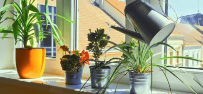 Plastic inzethoes bloempot