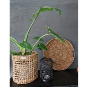 zeegras plantenmand Pai