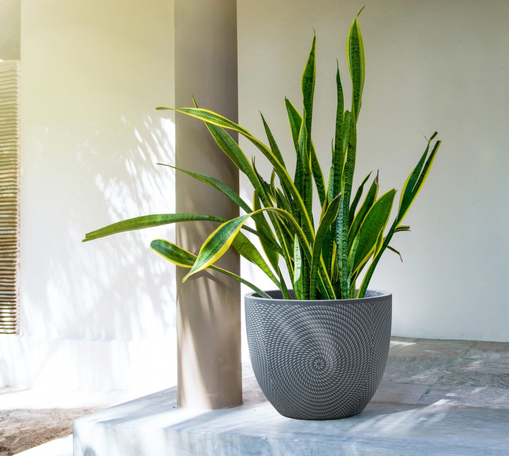 Jade ronde bloempot industrieel exclusief sfeerbeeld