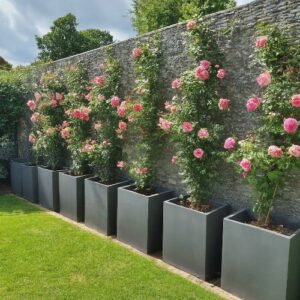 tuinafscheding plantenbakken met klimplanten