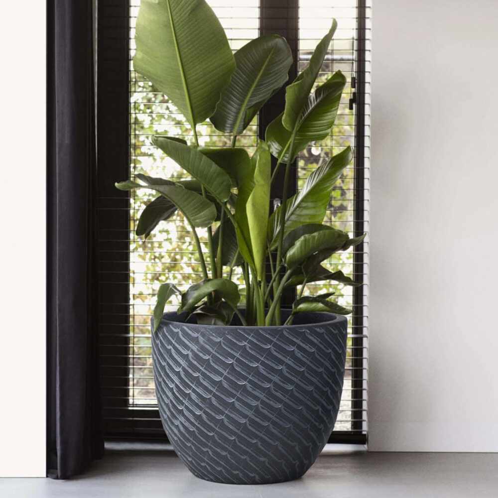 Bloempot Mira - zwarte ronde bloempot - binnen