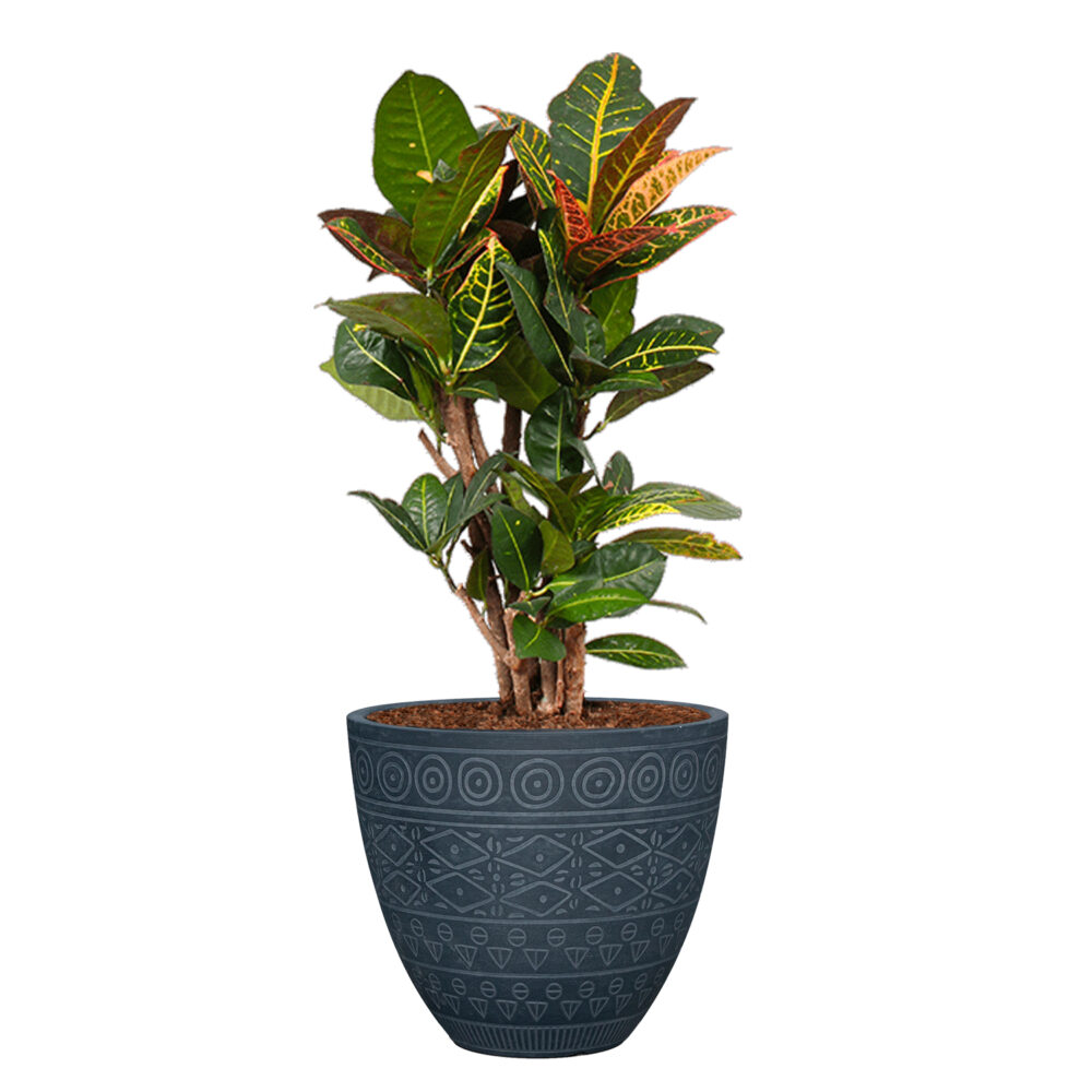 bloempot bohemian - grijs met plant - sfeerfoto - MAAM Pottery FAY