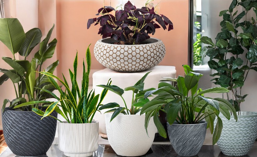 Moderne bloempotten voor binnen in een stijlvolle woonkamer