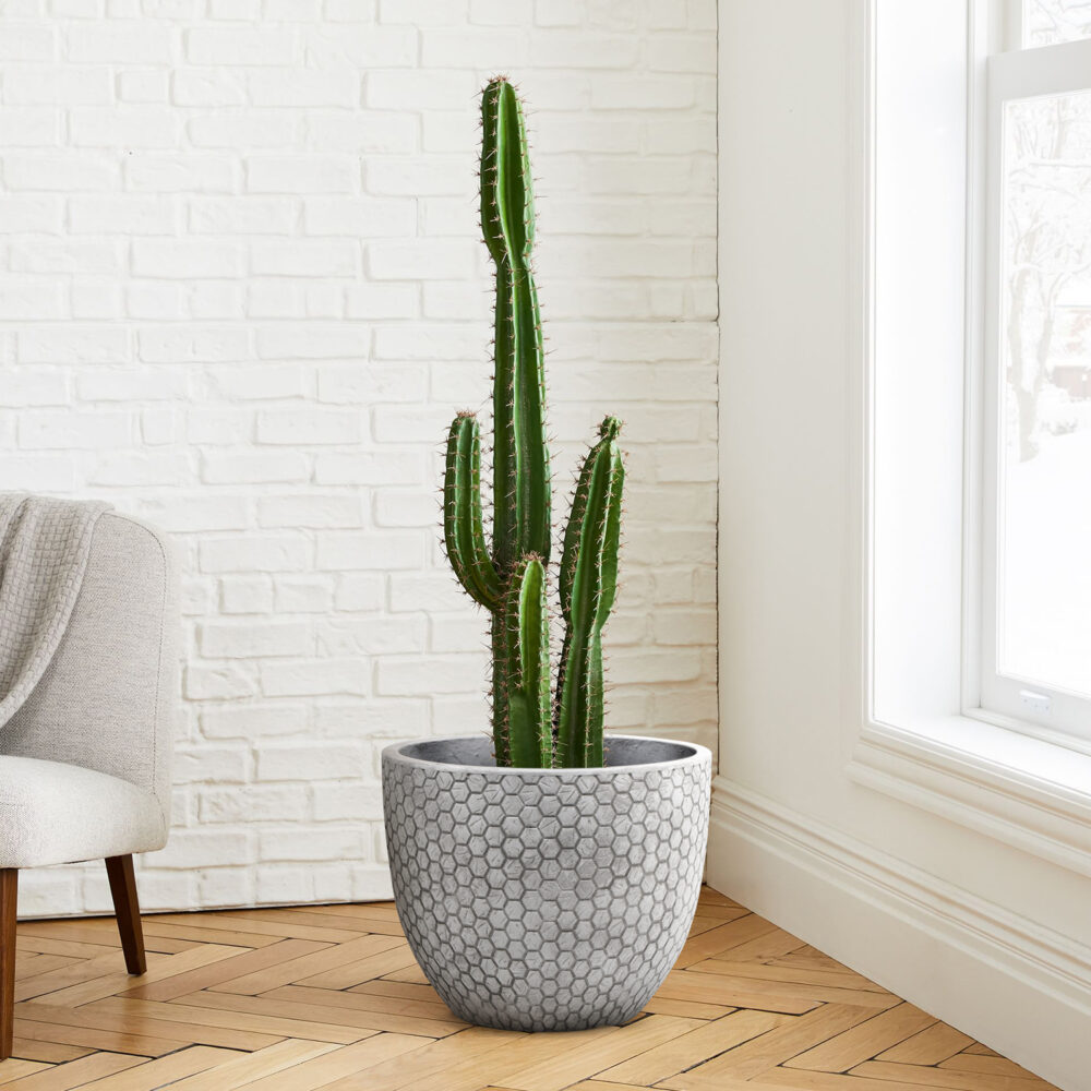 hexagon patroon bloempot - MA'AM Pottery Mila - ambiance picture