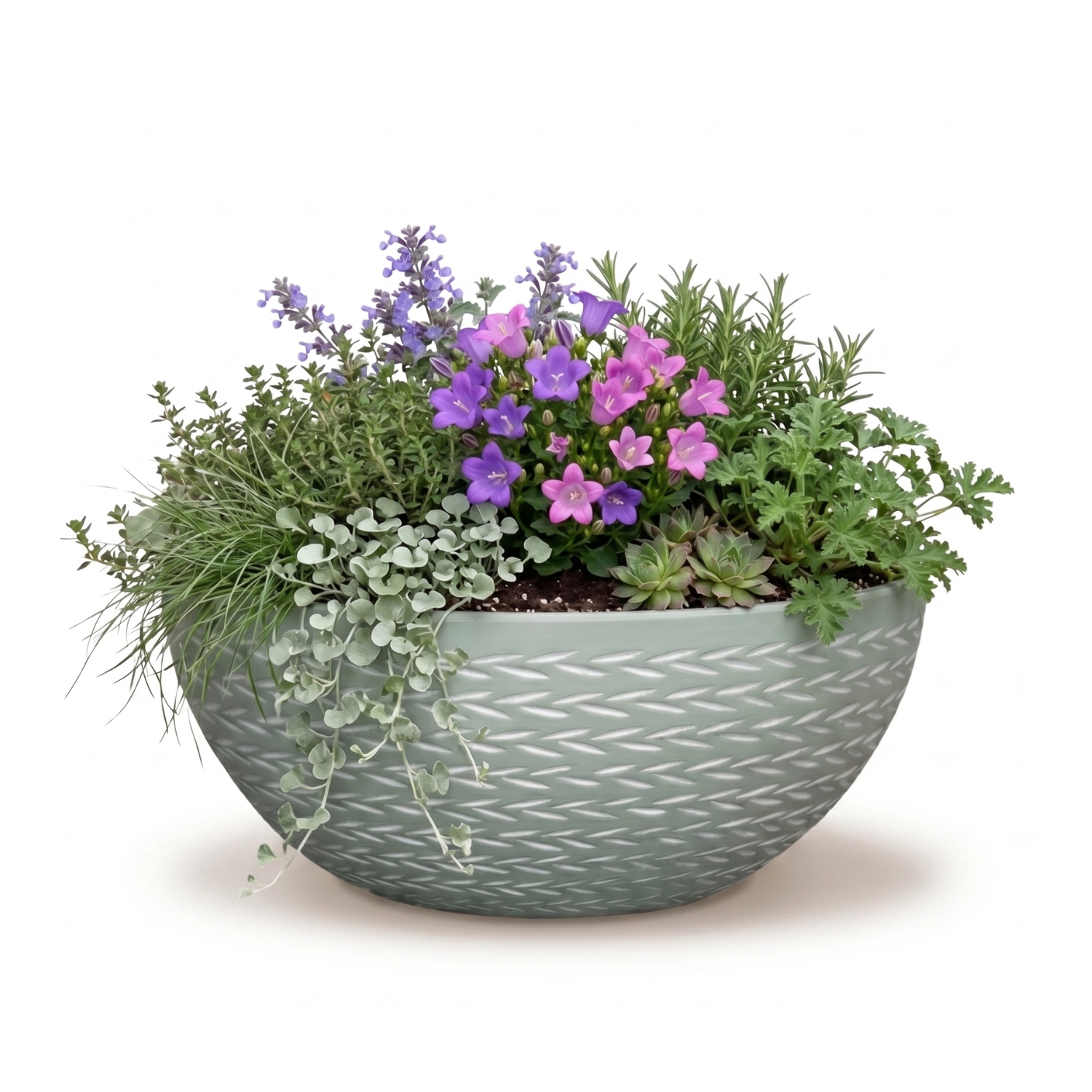 MA'AM Pottery Eve - bloemenschaal groen - perkplantjes
