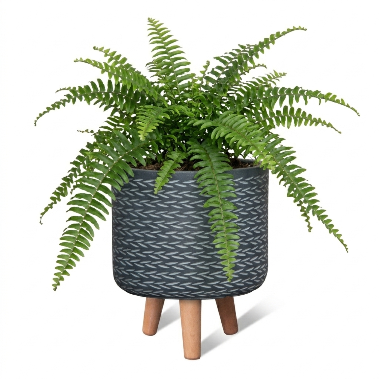 MA'AM Pottery Eve bloempot op poten - zwart - plant sfeerfoto