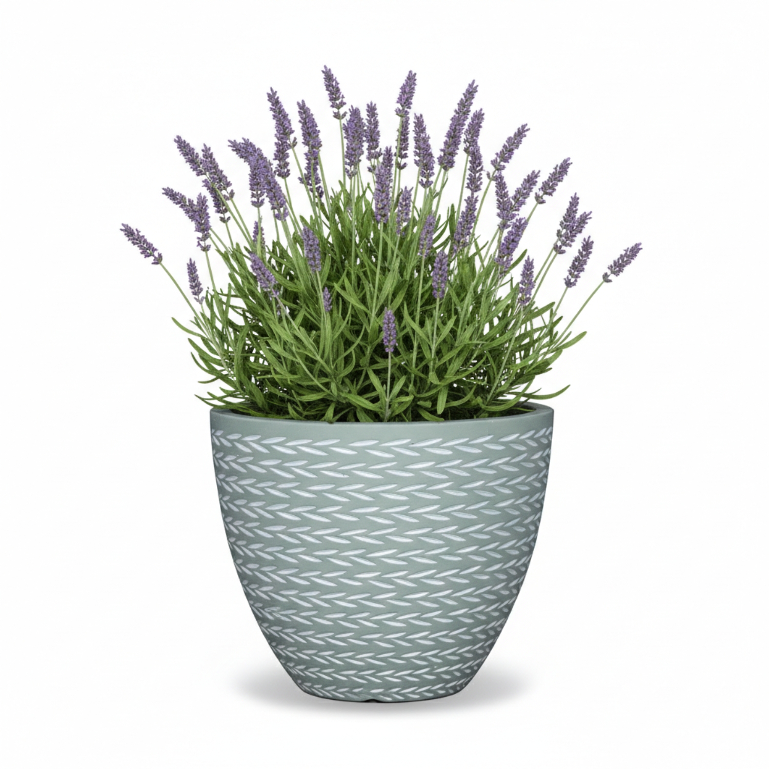 MA'AM Pottery Eve - groene ronde buiten bloempot - lavendel