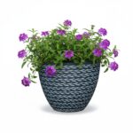 MAAM Pottery Eve - ronde zwarte bloempot - paarse plant
