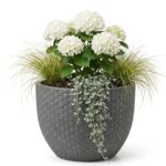 MA'AM Pottery Mila grijze bloempot buiten - hexagon structuur - met plant