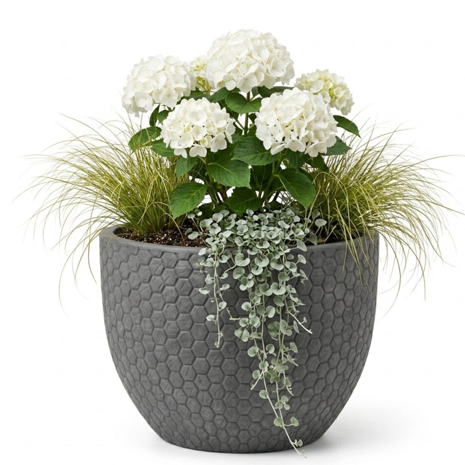 MA'AM Pottery Mila grijze bloempot buiten - hexagon structuur - met plant