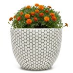 MA'AM Pottery Mila - hexagon patroon bloempot - wit met plant